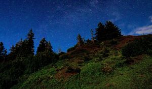 Preview wallpaper hill, trees, starry sky, stars, night, dark