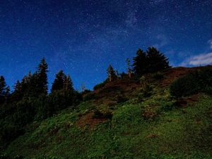 Preview wallpaper hill, trees, starry sky, stars, night, dark