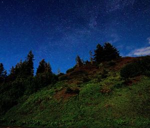 Preview wallpaper hill, trees, starry sky, stars, night, dark