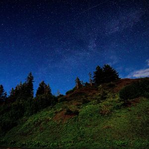 Preview wallpaper hill, trees, starry sky, stars, night, dark