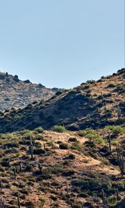Preview wallpaper hills, cacti, bushes, slope, sky