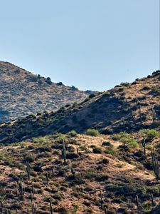 Preview wallpaper hills, cacti, bushes, slope, sky