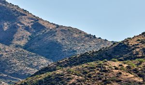 Preview wallpaper hills, cacti, bushes, slope, sky