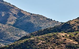 Preview wallpaper hills, cacti, bushes, slope, sky