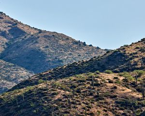 Preview wallpaper hills, cacti, bushes, slope, sky