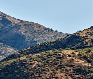 Preview wallpaper hills, cacti, bushes, slope, sky