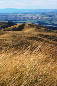 Preview wallpaper hills, field, ears, distance, sky