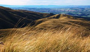 Preview wallpaper hills, field, ears, distance, sky