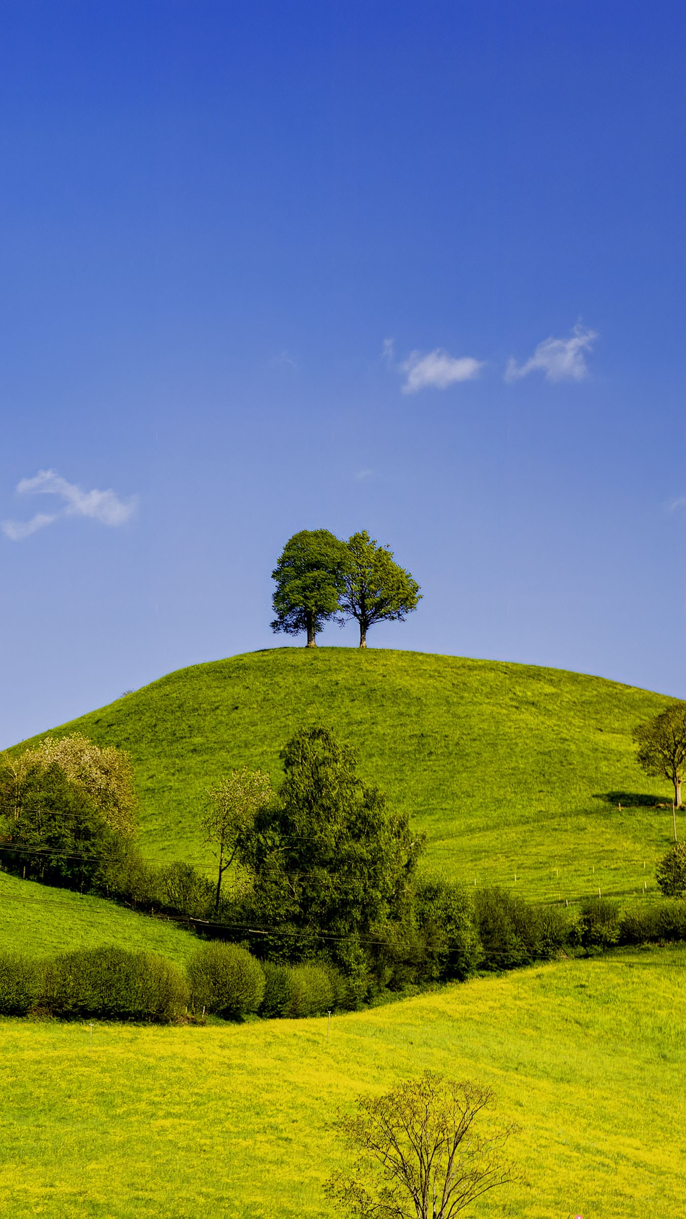 1350x2400 Wallpaper hills, field, trees, clouds, landscape