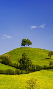 Preview wallpaper hills, field, trees, clouds, landscape