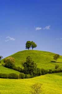 Preview wallpaper hills, field, trees, clouds, landscape