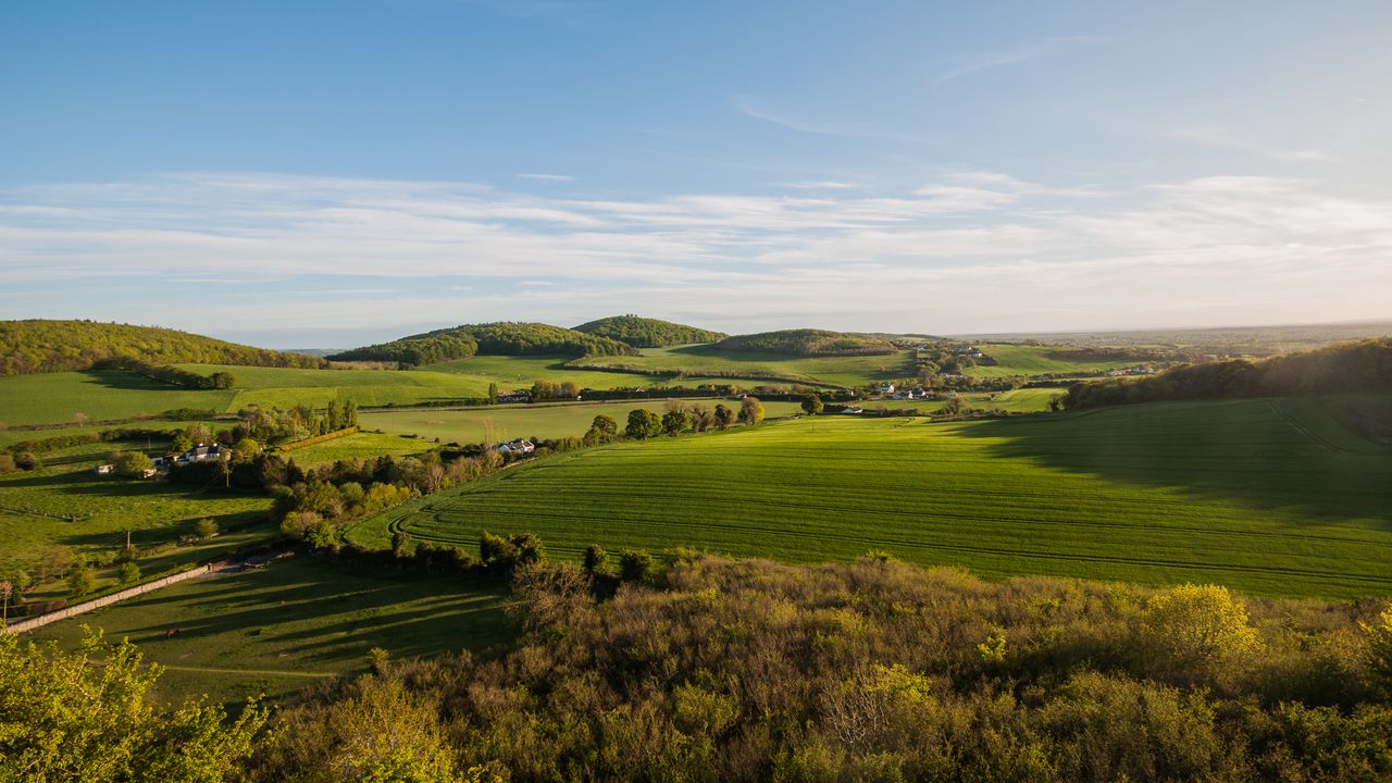 Wallpaper hills, field, trees, nature, landscape