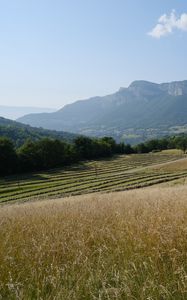 Preview wallpaper hills, field, trees, landscape, nature