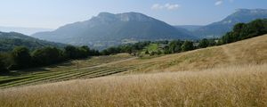 Preview wallpaper hills, field, trees, landscape, nature