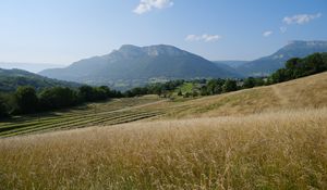 Preview wallpaper hills, field, trees, landscape, nature