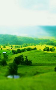 Preview wallpaper hills, fields, slopes, trees, greens, landscape, optical illusion