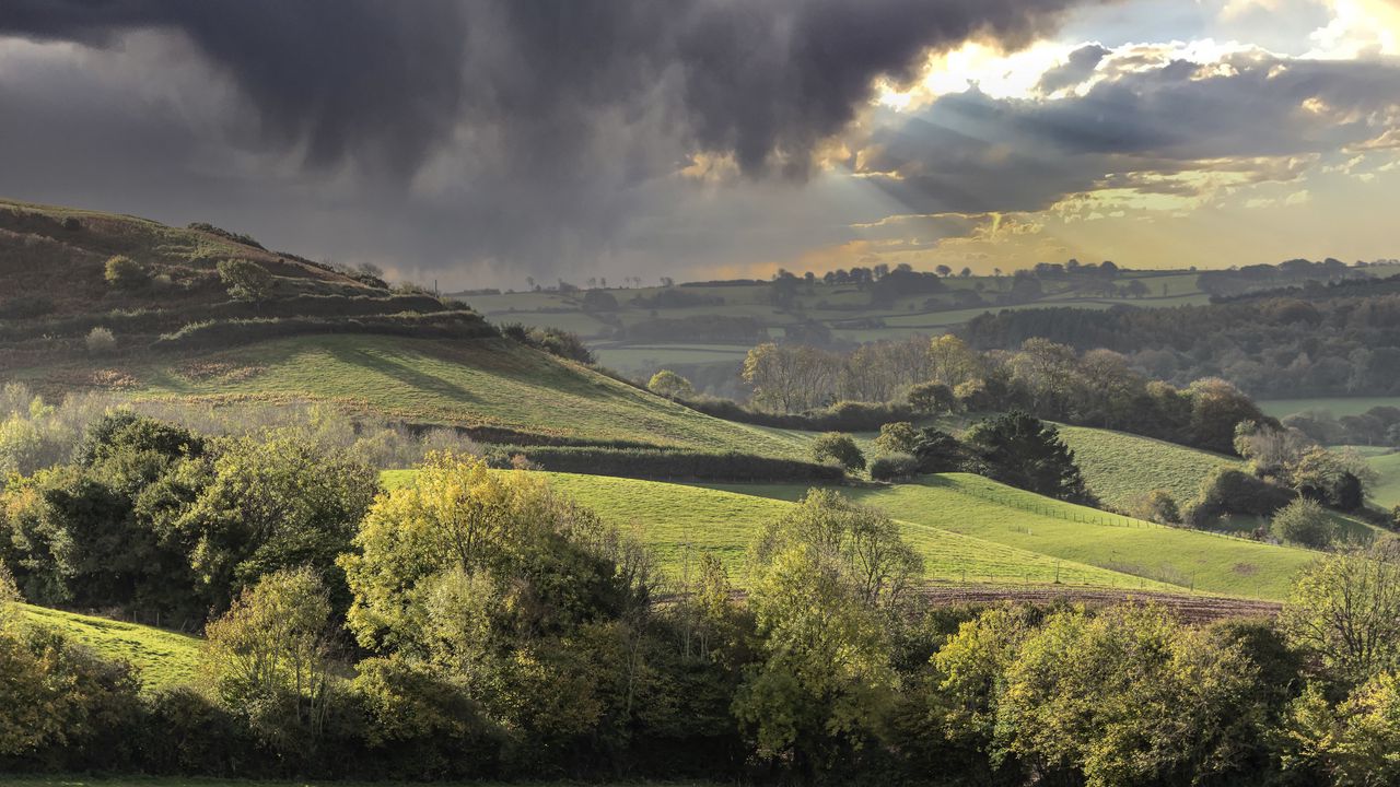 Wallpaper hills, fields, trees, landscape