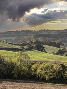 Preview wallpaper hills, fields, trees, landscape