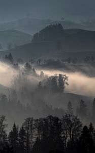 Preview wallpaper hills, fog, trees, landscape, nature