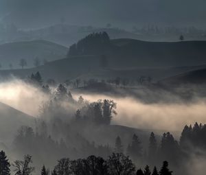 Preview wallpaper hills, fog, trees, landscape, nature