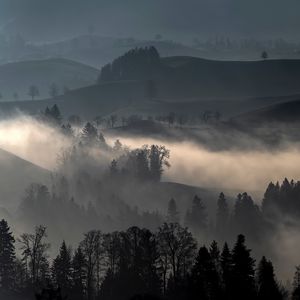Preview wallpaper hills, fog, trees, landscape, nature