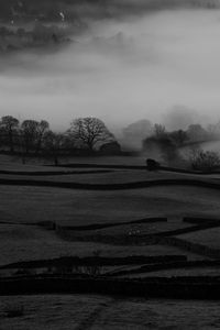 Preview wallpaper hills, fog, trees, bw, landscape