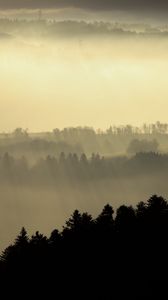Preview wallpaper hills, fog, trees, dusk