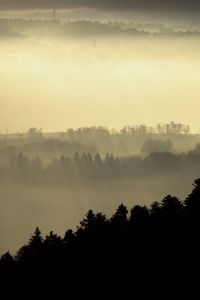 Preview wallpaper hills, fog, trees, dusk