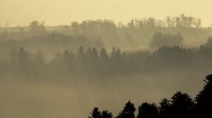 Preview wallpaper hills, fog, trees, dusk