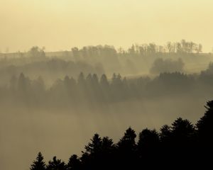 Preview wallpaper hills, fog, trees, dusk