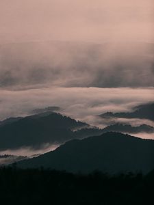 Preview wallpaper hills, fog, trees, relief