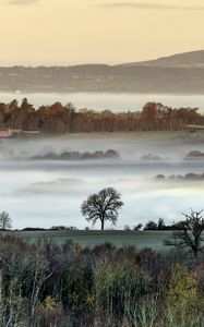 Preview wallpaper hills, fog, trees, aerial view, landscape