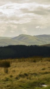 Preview wallpaper hills, forest, grass, landscape, clouds