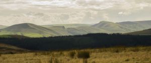Preview wallpaper hills, forest, grass, landscape, clouds