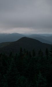 Preview wallpaper hills, forest, trees, fog, spruce