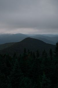 Preview wallpaper hills, forest, trees, fog, spruce