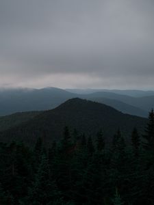 Preview wallpaper hills, forest, trees, fog, spruce