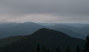 Preview wallpaper hills, forest, trees, fog, spruce