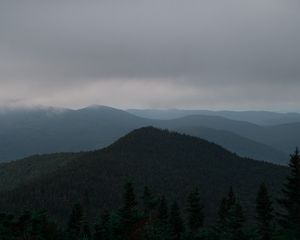 Preview wallpaper hills, forest, trees, fog, spruce