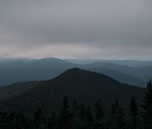 Preview wallpaper hills, forest, trees, fog, spruce