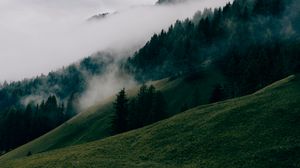 Preview wallpaper hills, forest, trees, fog, nature