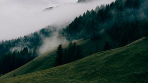 Preview wallpaper hills, forest, trees, fog, nature