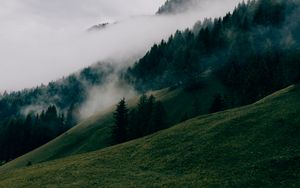 Preview wallpaper hills, forest, trees, fog, nature
