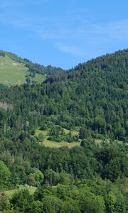 Preview wallpaper hills, forest, trees, nature, landscape, aerial view