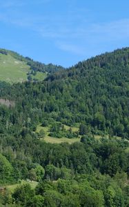 Preview wallpaper hills, forest, trees, nature, landscape, aerial view