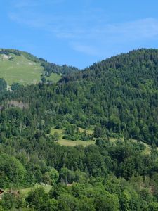 Preview wallpaper hills, forest, trees, nature, landscape, aerial view