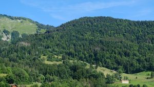 Preview wallpaper hills, forest, trees, nature, landscape, aerial view