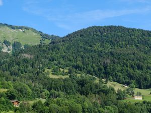 Preview wallpaper hills, forest, trees, nature, landscape, aerial view