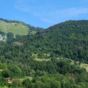 Preview wallpaper hills, forest, trees, nature, landscape, aerial view