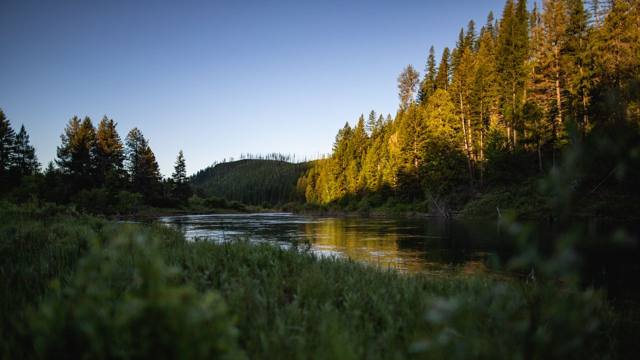 Wallpaper hills, forest, trees, lake, landscape, nature